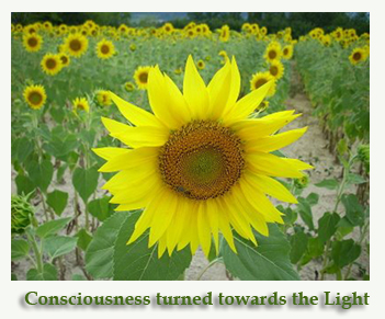 Consiouness turned towards the Light